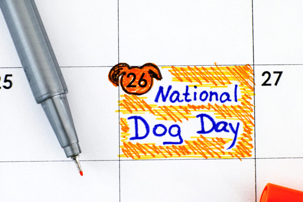 National Dog Day – August 26, 2022