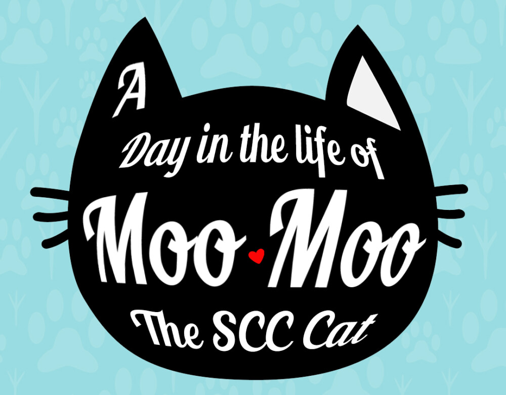 The Life of Moo-Moo – SCC’s Feline Friend